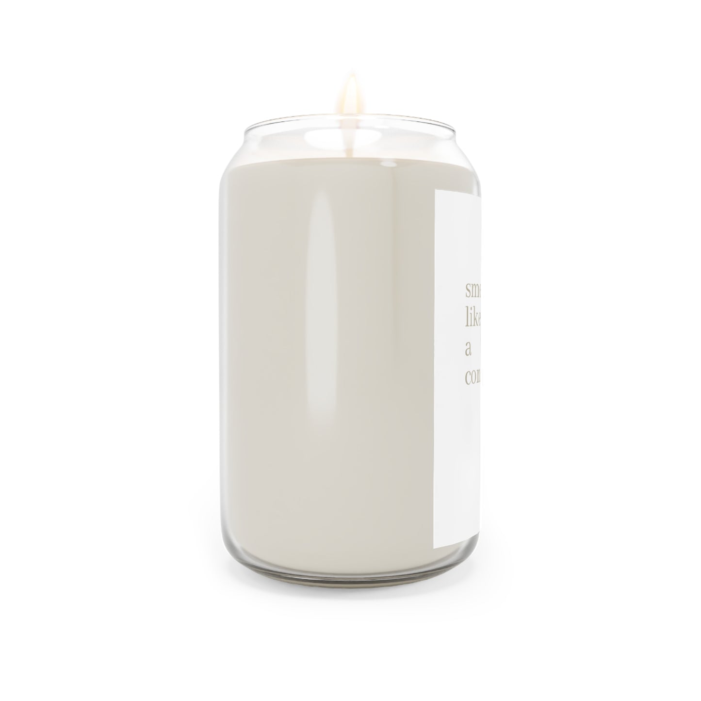 Scented Soy Candle - Smells Like a Conspiracy | Relaxing Aromatherapy, Cozy Home Decor, Gift for Friends, Unique Party Favor, [...]